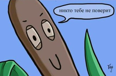 Вера.png