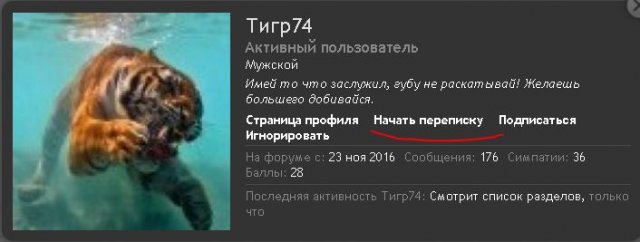 тигр.JPG