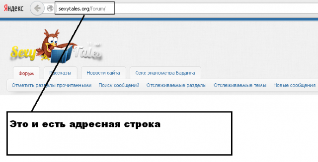 браузерная строчка.PNG