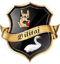 vilitaj