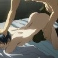 Animi