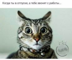 Luck