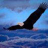 El condor pasa