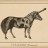 Strapony