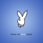 WhiteRabbit